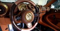 Mini Countryman Steampunk Carlex Design