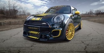 Mini F300 Manhart - ostry maluch