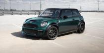 Mini Cooper Bully TopCar