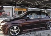 Peugeot 206 - tuning WPP