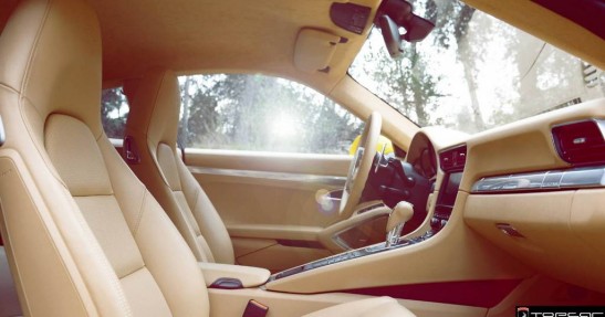 Porsche 911 Carrera Stinger TopCar