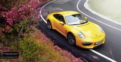 Porsche 911 Carrera Stinger TopCar