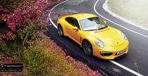 Porsche 911 Carrera Stinger TopCar