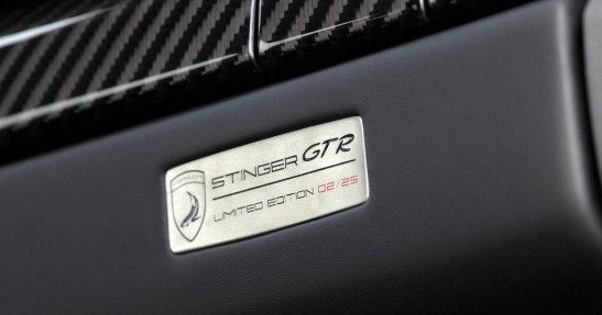 Porsche 911 Stinger GTR TopCar