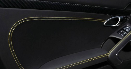 Porsche 911 Stinger GTR TopCar