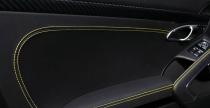 Porsche 911 Stinger GTR TopCar