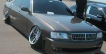 Demon Camber