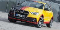 Audi Q3, Volkswagen T5 MTM