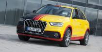 Audi Q3, Volkswagen T5 MTM