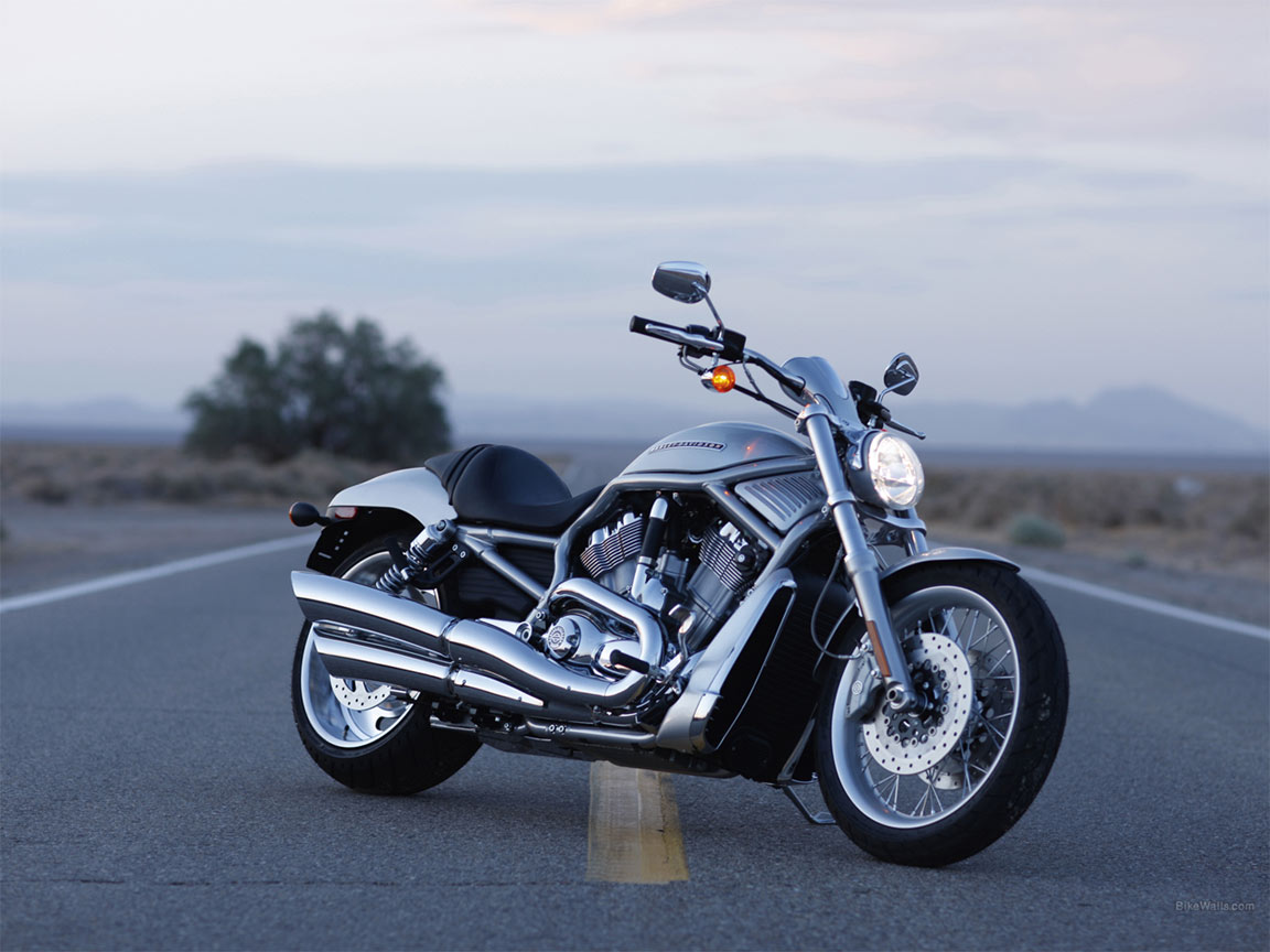 Harley Davidson V Rod Custom A Vendre Harley Davidson V Rod Custom A Vendre